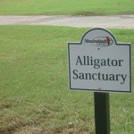 alligatorsign