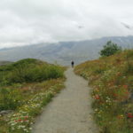 Mount St Helens Path